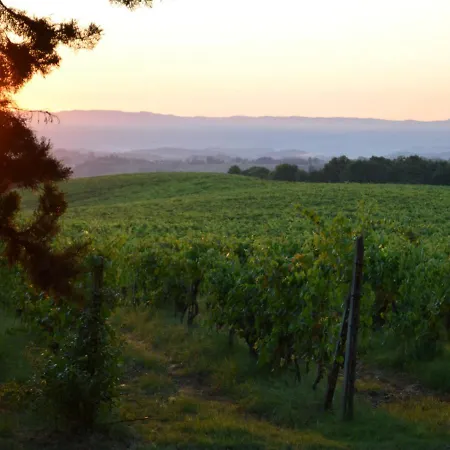 Fattoria Il Piano - Casa Bugno - *