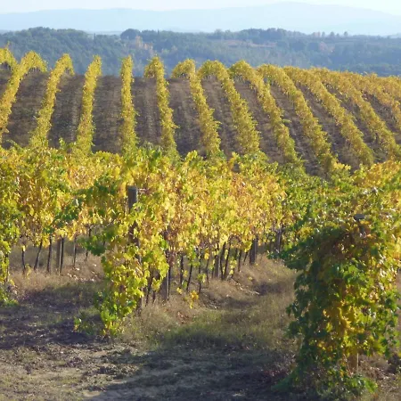 Fattoria Il Piano - Casa Bugno - *
