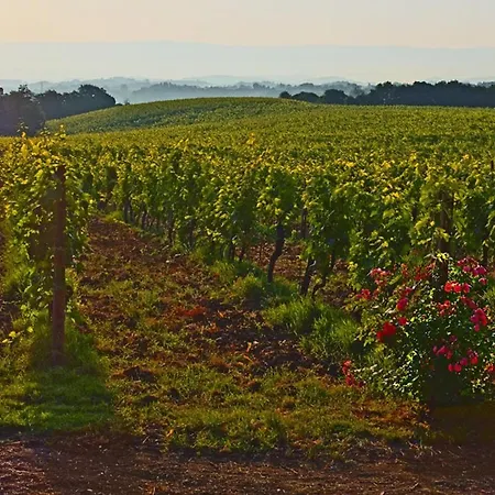 Fattoria Il Piano - Casa Bugno - *