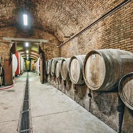 Fattoria Il Piano - Casa Bugno -